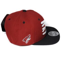 Lacer Snapback Caps
